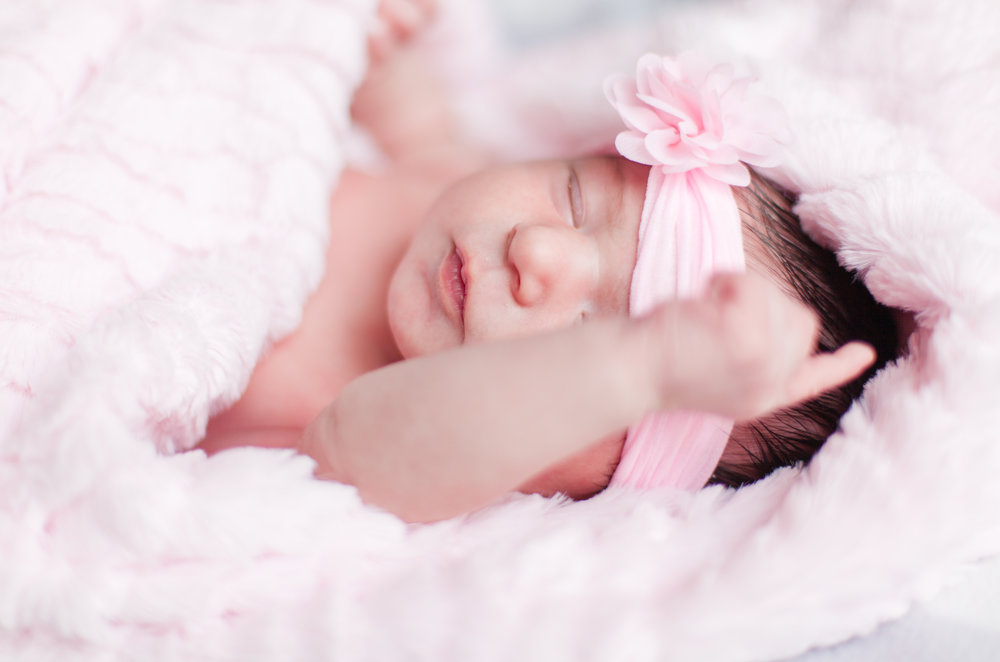  newborn, baby, girl, pink, bows, flowers, grey, photography 